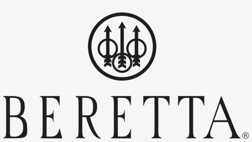 Ремонт газовых котлов отопления Beretta